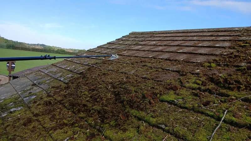 Roof moss removal in progress - showing the contrast between cleaned tiles and remaining moss patches