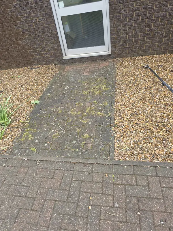 Concrete paving slab dense green moss before, Northampton.