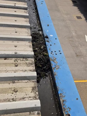 Before - commercial building box gutter heavy debris moss blockage, Northampton.
