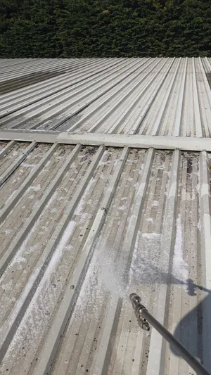 During - commercial metal roof softwash biocide algae treatment active, Northampton.