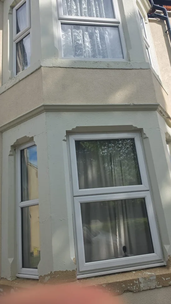 residential victorian house render algae black streaking bay window