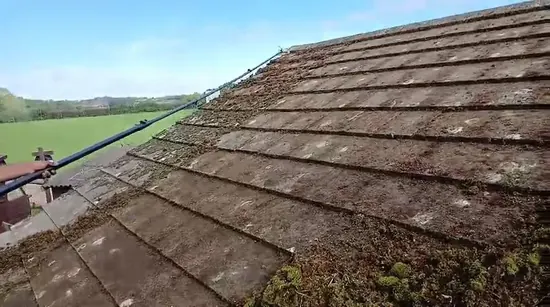 Mossy Roof Clean - Northampton (October 2024) - photo 1