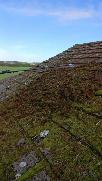 Mossy Roof Clean - Northampton (October 2024) - photo 11