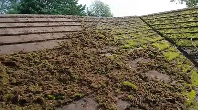 Mossy Roof Clean - Northampton (October 2024) - photo 3