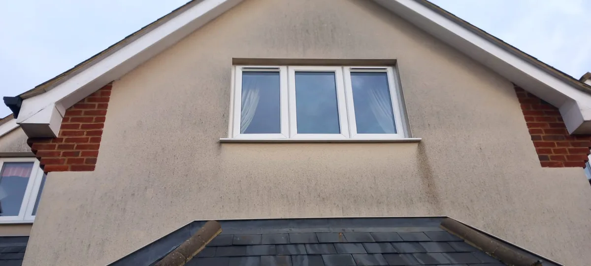 House render before cleaning - grey-green algae staining on walls