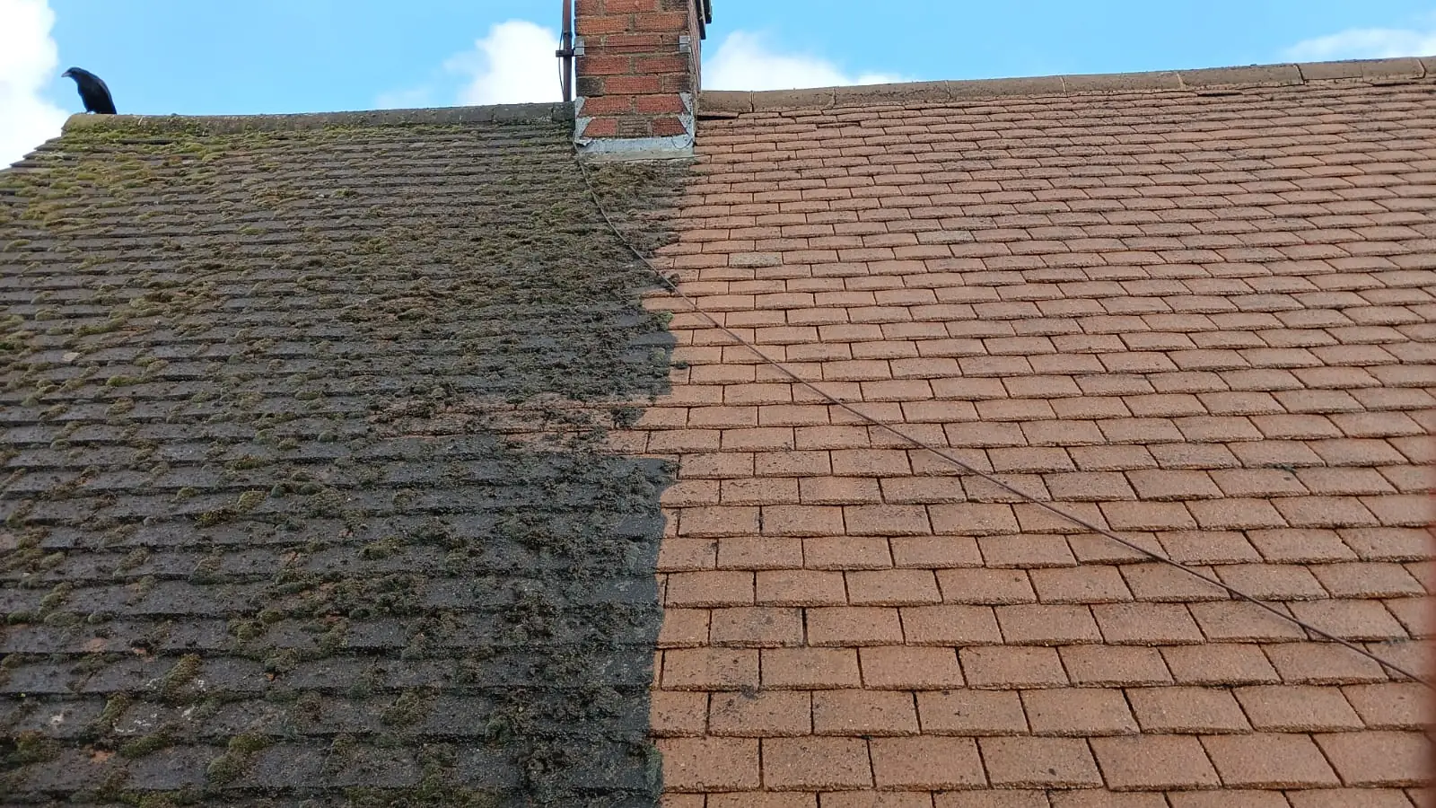 Roof half cleaned, showing the difference between moss-covered and clean concrete tiles