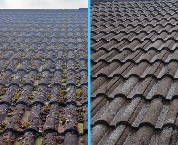 Concrete interlocking tile roof before and after roof cleaning