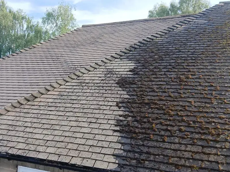 Single concrete roof tile before and after moss removal showing thick green moss on one side and clean tile on the other