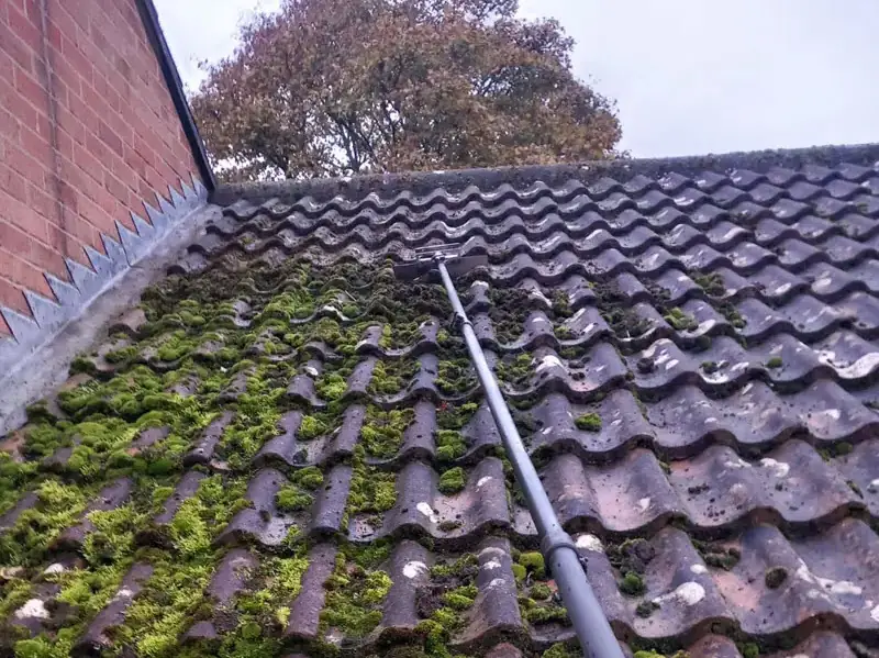 Manual moss scraping on a concrete pantile roof using an extended pole